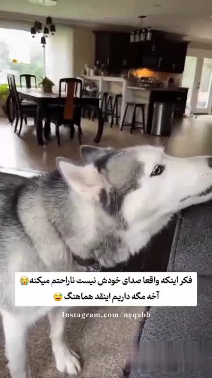 دوبله جالب و بامزه برای سرگرمی + فیلم