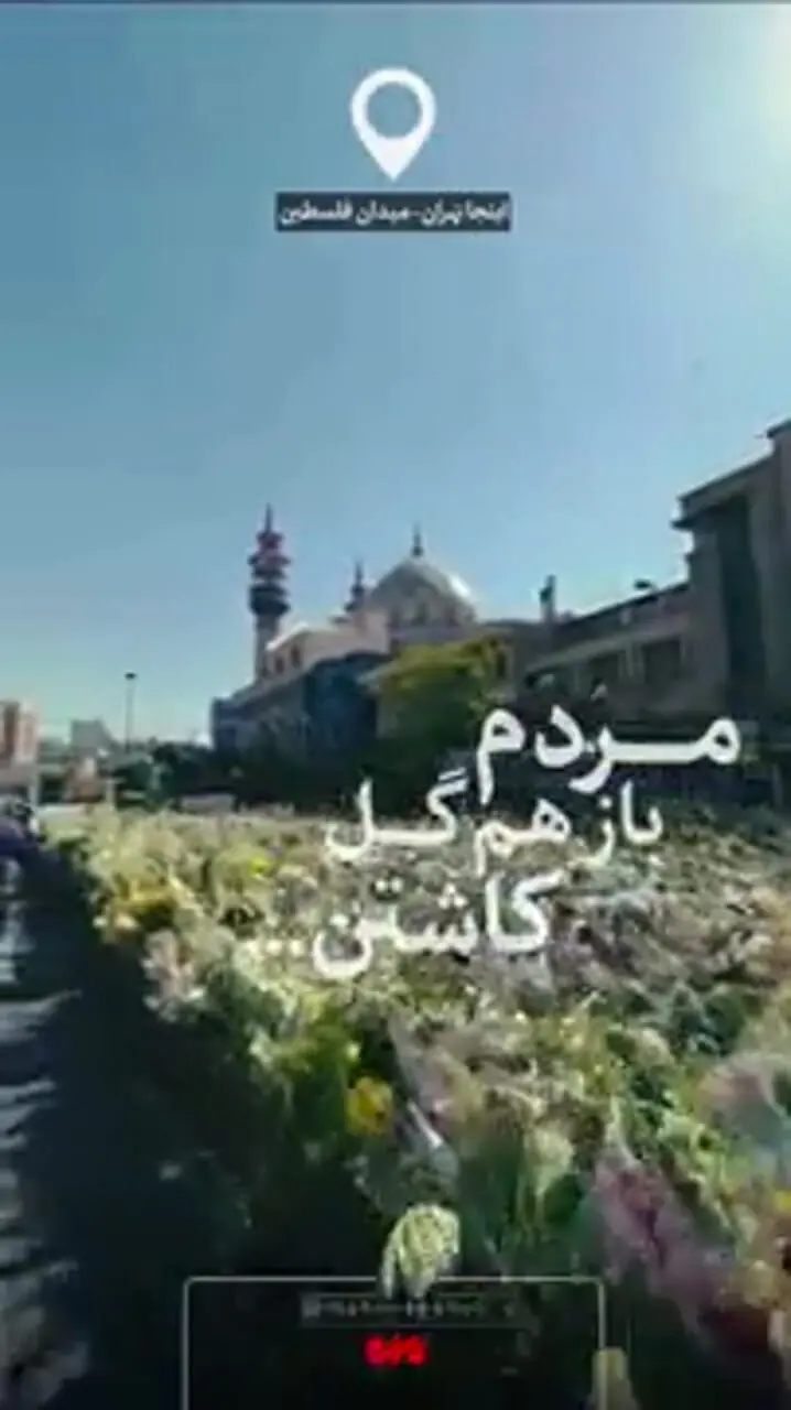 مردم‌ تهران برای قدردانی از سیدحسن نصرالله گل کاشتند + فیلم