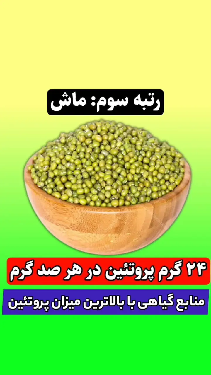 این مواد غذایی رکورددار داشتن پروتئین اند+ فیلم