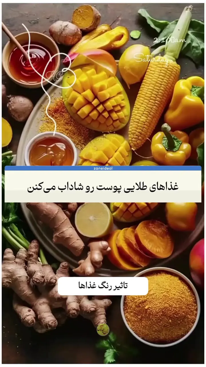 هر رنگ غذا چه تاثیری بر بدن و سلامتی دارد؟ + فیلم