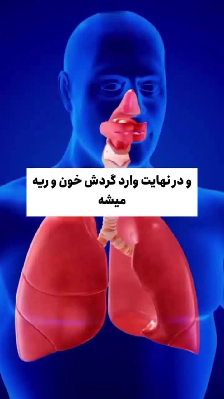 چرا نباید باد معده را نگه داشت؟ + فیلم