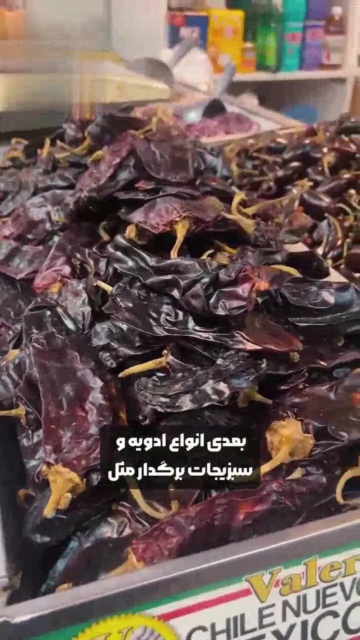 این 5 ماده غذایی را به هیچ وجه فریز نکنید + فیلم