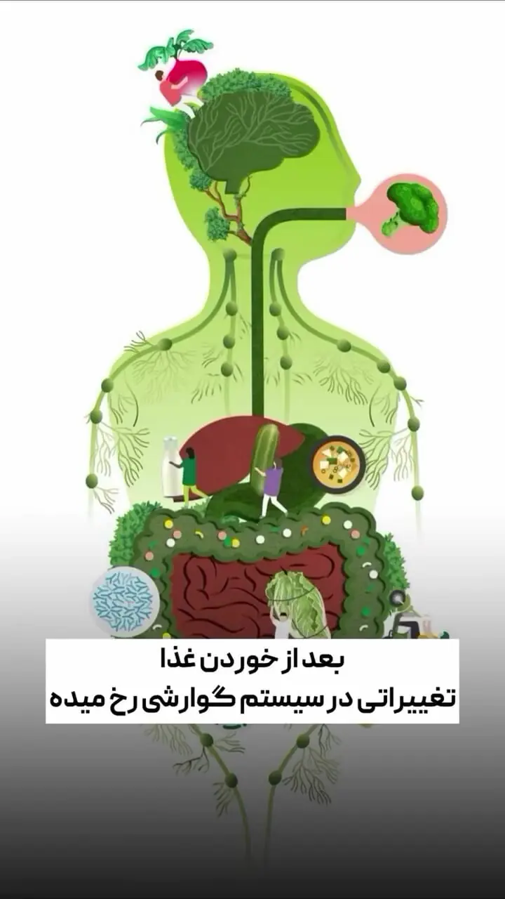 چرا نباید بعد از خوردن غذا سریع ظرف شست؟ + فیلم