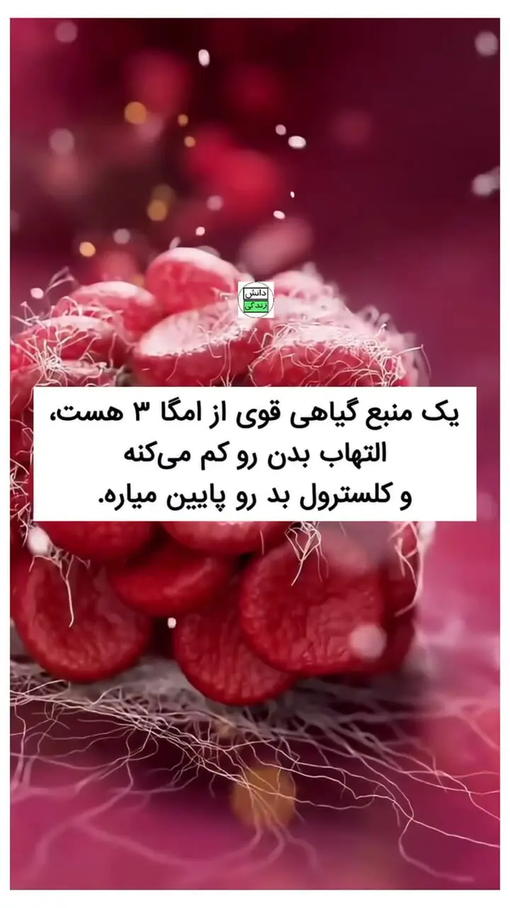 برای پایین آوردن کلسترول خون از این 5 روغن استفاده کنید + فیلم