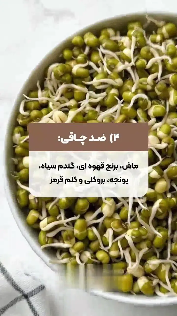 اثرات مفید چهار جوانه  که نمی دانید+ فیلم