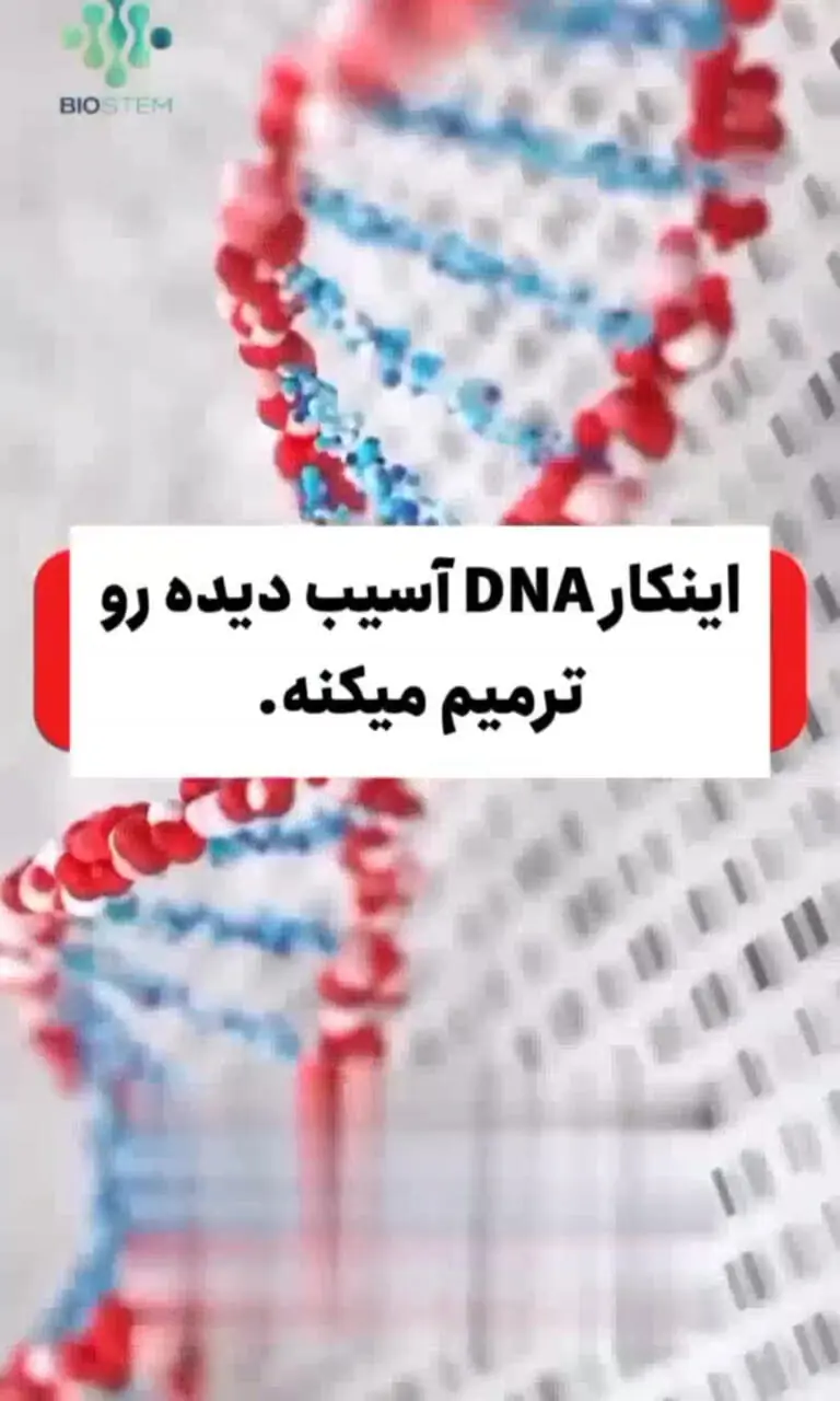کیوی، محافظ بی برو برگشت DNA + فیلم