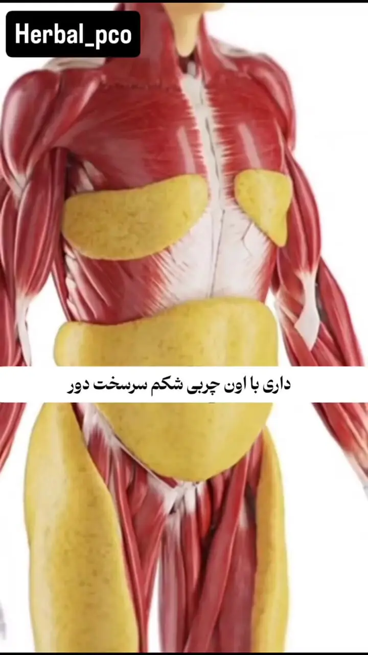 اگر این علامت ها را دارید کورتیزول و استرس بدن تان بالاست