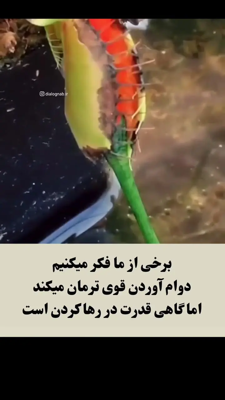  هنری که در رابطه کمتر بلدیم + فیلم