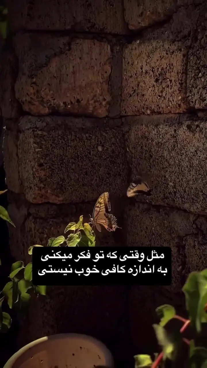 اگر  کسی قدرتان را نمی داند ببینید! + فیلم