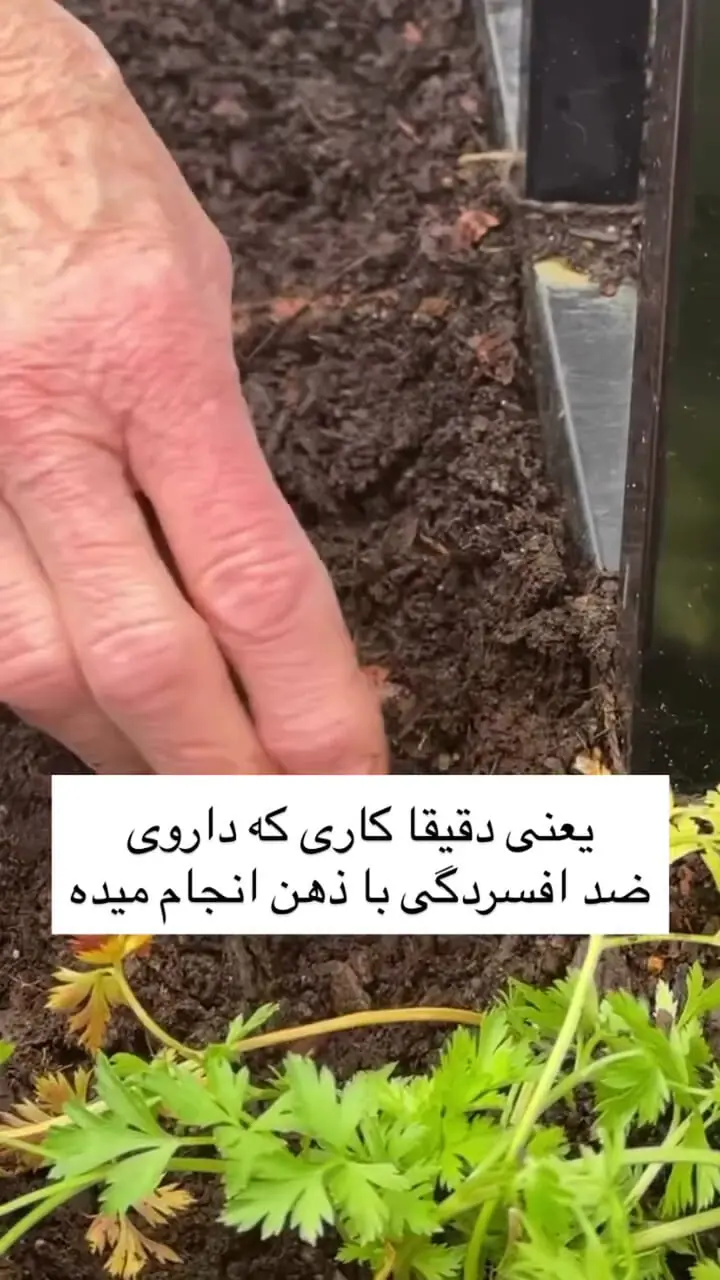 این  مدل لمس کردن؛ کلید طلایی رهایی از افسردگی و  اضطراب است + فیلم