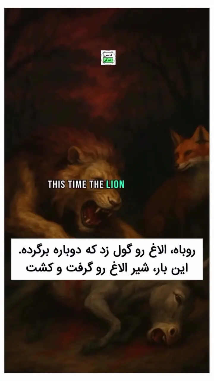 چگونه از تجربه‌های تلخ زندگی عبرت بگیریم؟ + فیلم