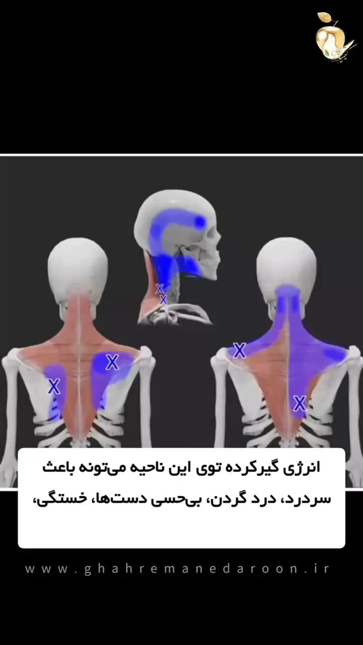 رابطه درد شانه ها با چه احساسی مربوط است؟+ فیلم