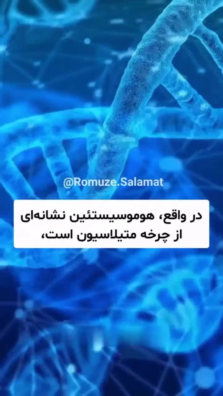 سه راهکار برای پیشگیری از آلزایمر و زوال عقل + فیلم