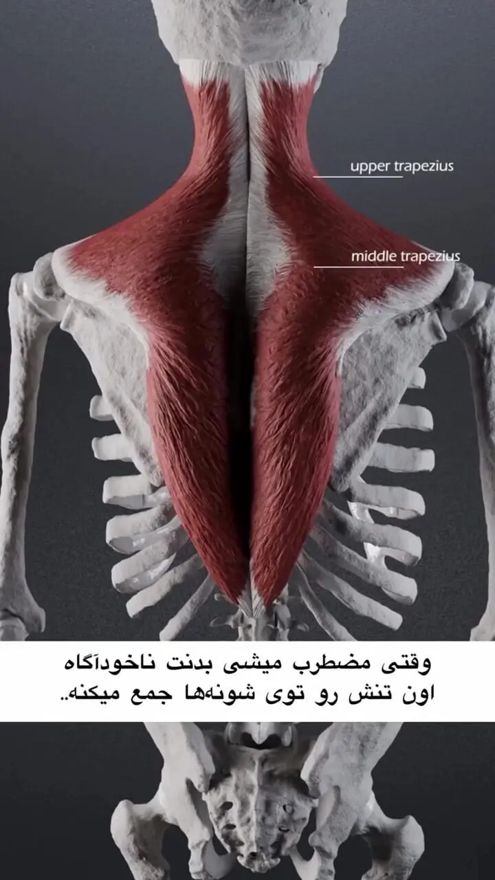 اگر این درد عضلانی را دارید یعنی اضطراب پنهان را تجربه می کنید + فیلم